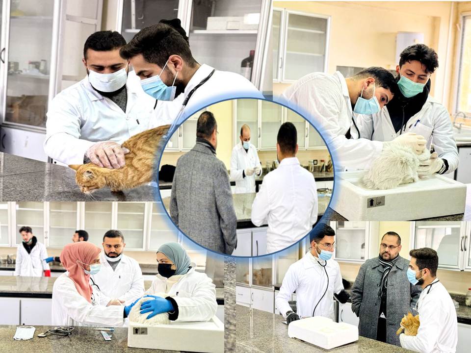 الامتحانات العملية في كلية الطب البيطري من التعليم النظري الى التطبيق العملي